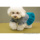 ルイスドッグ【louisdog】Fur Dress/Pagoda Blue Fur