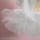 ルイスドッグ【louisdog】Ballet Club Oragnic TUTU/Spangle Heart/White TUTU