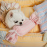 ルイスドッグ【louisdog】Sweet Candy Pillow