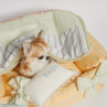 ルイスドッグ【louisdog】Autumn Dream Pillow/BABY Bow