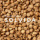 【SOLVIDA】ソルビダ グレインフリー チキン 室内飼育成犬用 900g